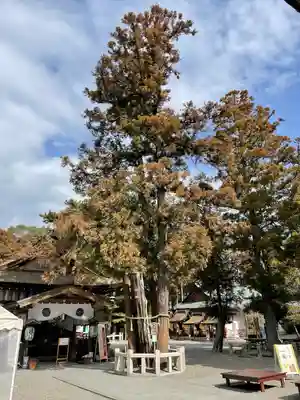 建部大社(滋賀県)