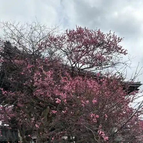 興正寺(京都府)