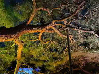 平安神宮(京都府)