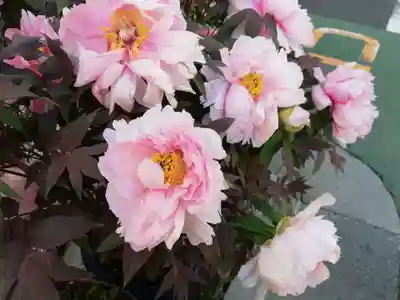 稲荷神社跡地の周辺