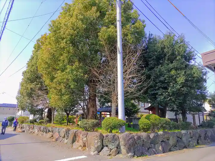 津島社(加納)の自然