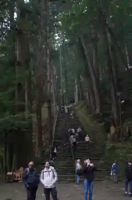 飛瀧神社（熊野那智大社別宮）の{uncategorized: "未分類", other: "その他", undefined: "問題あり", building: "その他建物", grave: "お墓", sacred_gate: "鳥居", guardian: "狛犬", statue: "像", buddha: "仏像", history: "歴史", nature: "自然", garden: "庭園", animal: "動物", pagoda: "塔", temizu: "手水舎", mountain_gate: "山門・神門", sanctuary: "本殿・本堂", subordinate: "末社・摂社", art: "芸術", scenery: "景色", jizo: "地蔵", ema: "絵馬", goshuin: "御朱印", omikuji: "おみくじ", items: "授与品その他", amulet: "お守り", goshuincho: "御朱印帳", eats: "食事", festival: "お祭り", votive_dance: "神楽", shichigosan: "七五三参", wedding: "結婚式", experience: "体験その他", initially: "初詣", around: "周辺", anti_infection: "感染症対策"}