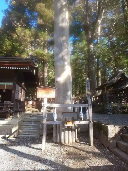 諏訪大社下社秋宮のその他建物