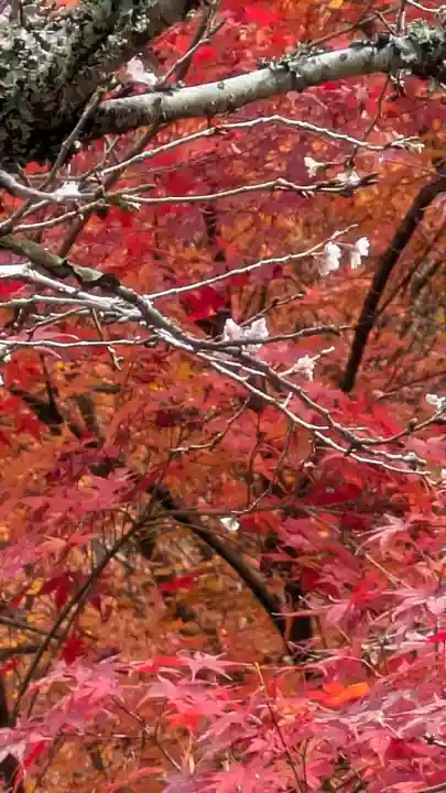 出世稲荷神社(京都府)