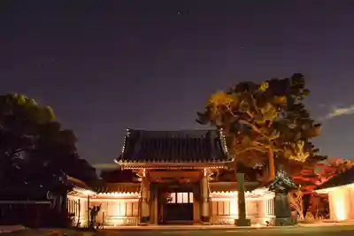 普元寺の山門・神門