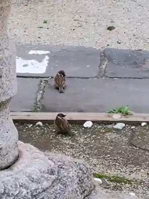平河天満宮の{uncategorized: "未分類", other: "その他", undefined: "問題あり", building: "その他建物", grave: "お墓", sacred_gate: "鳥居", guardian: "狛犬", statue: "像", buddha: "仏像", history: "歴史", nature: "自然", garden: "庭園", animal: "動物", pagoda: "塔", temizu: "手水舎", mountain_gate: "山門・神門", sanctuary: "本殿・本堂", subordinate: "末社・摂社", art: "芸術", scenery: "景色", jizo: "地蔵", ema: "絵馬", goshuin: "御朱印", omikuji: "おみくじ", items: "授与品その他", amulet: "お守り", goshuincho: "御朱印帳", eats: "食事", festival: "お祭り", votive_dance: "神楽", shichigosan: "七五三参", wedding: "結婚式", experience: "体験その他", initially: "初詣", around: "周辺", anti_infection: "感染症対策"}
