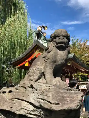 浅草神社の狛犬