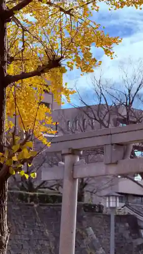 福井神社(福井県)