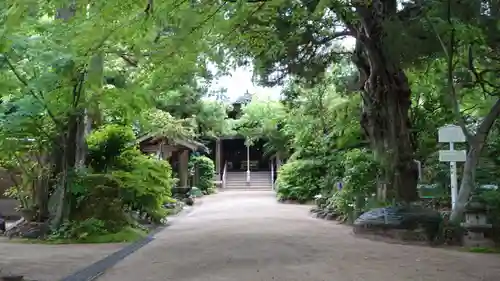 浄瑠璃寺(愛媛県)