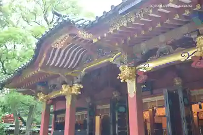 根津神社の本殿・本堂
