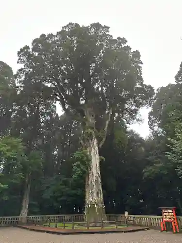 霧島神宮(鹿児島県)