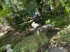 武田神社の動物