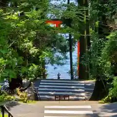 箱根神社の建物その他