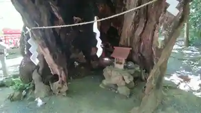 來宮神社(静岡県)