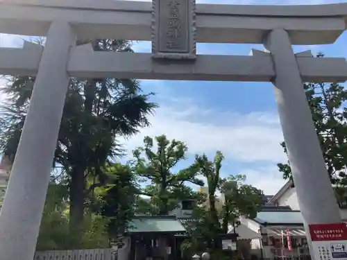 素盞嗚神社の鳥居