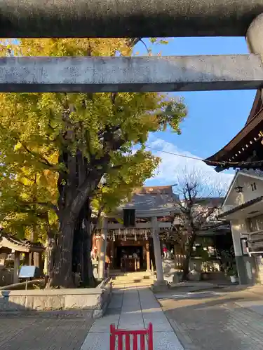 飛木稲荷神社の自然