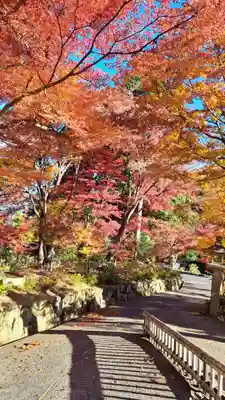 柳谷観音　楊谷寺(京都府)