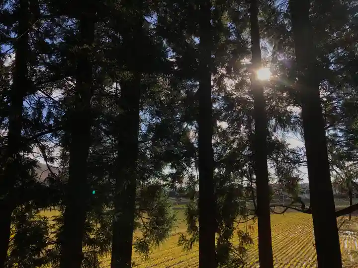高司神社〜むすびの神の鎮まる社〜の景色