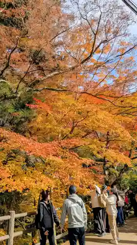 勝尾寺(大阪府)
