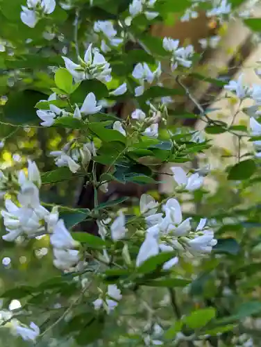 梨木神社(京都府)