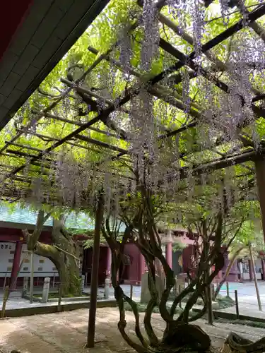 笠間稲荷神社の庭園