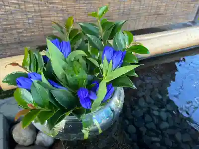 上尾御嶽神社の手水舎