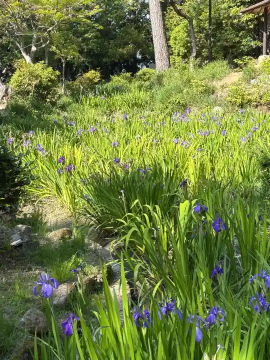 無量寿寺(愛知県)