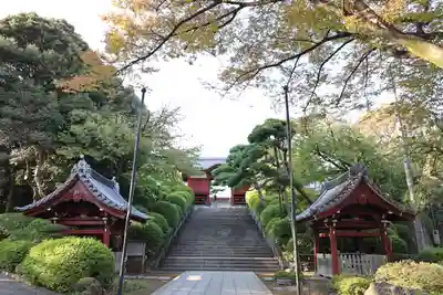 護国寺(東京都)