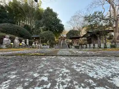 西円寺の{uncategorized: "未分類", other: "その他", undefined: "問題あり", building: "その他建物", grave: "お墓", sacred_gate: "鳥居", guardian: "狛犬", statue: "像", buddha: "仏像", history: "歴史", nature: "自然", garden: "庭園", animal: "動物", pagoda: "塔", temizu: "手水舎", mountain_gate: "山門・神門", sanctuary: "本殿・本堂", subordinate: "末社・摂社", art: "芸術", scenery: "景色", jizo: "地蔵", ema: "絵馬", goshuin: "御朱印", omikuji: "おみくじ", items: "授与品その他", amulet: "お守り", goshuincho: "御朱印帳", eats: "食事", festival: "お祭り", votive_dance: "神楽", shichigosan: "七五三参", wedding: "結婚式", experience: "体験その他", initially: "初詣", around: "周辺", anti_infection: "感染症対策"}