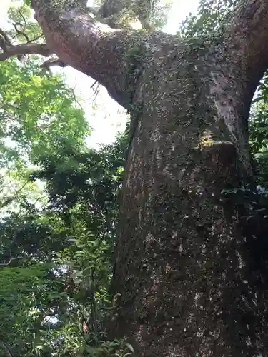 葭原神社（皇大神宮末社）の自然
