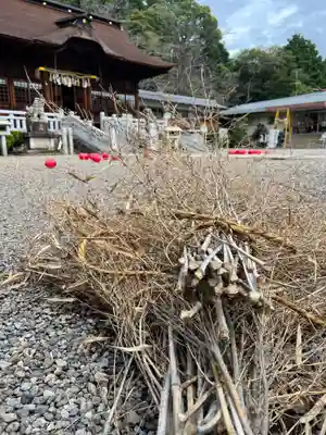 手力雄神社(岐阜県)