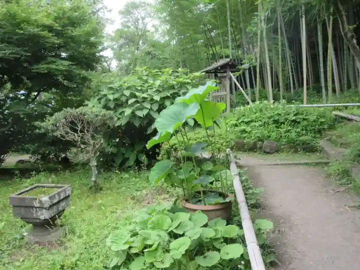 英勝寺(神奈川県)