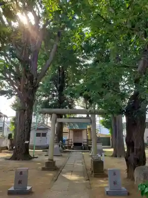 中野天祖神社の鳥居
