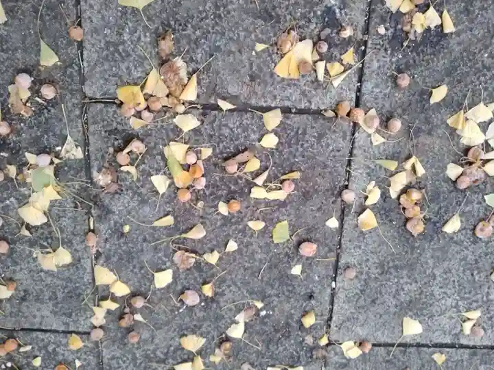 西来寺(神奈川県)