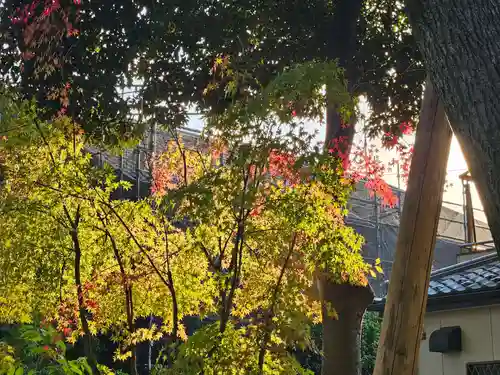武蔵一宮氷川神社(埼玉県)