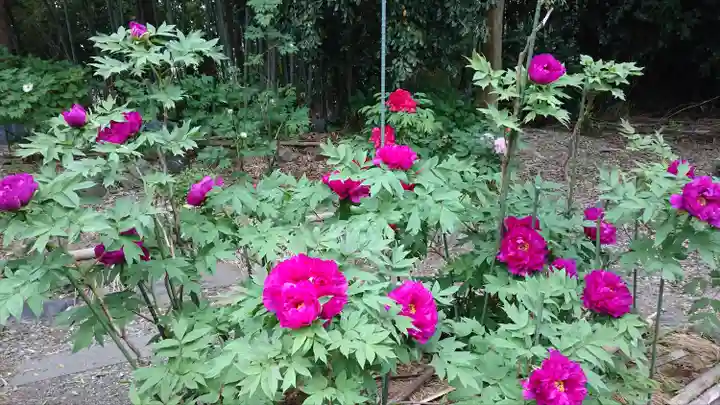 総持寺(滋賀県)