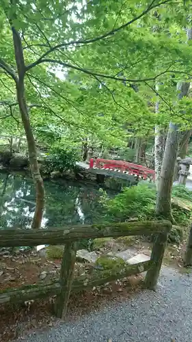 横山不動尊の庭園