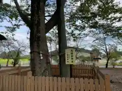 高椅神社の建物その他