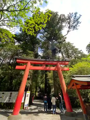 箱根神社の鳥居