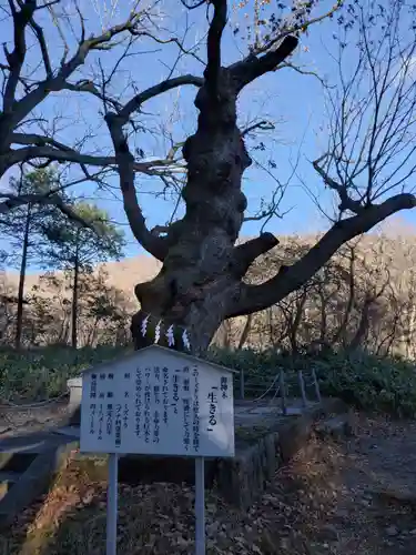 那須温泉神社(栃木県)
