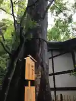 川越氷川神社の自然