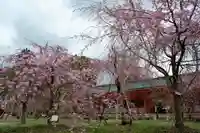 平安神宮(京都府)