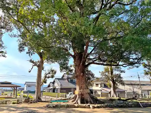 赤司八幡神社(福岡県)