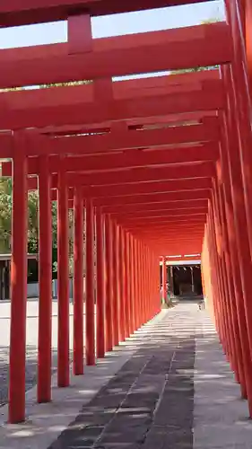 箭弓稲荷神社の鳥居