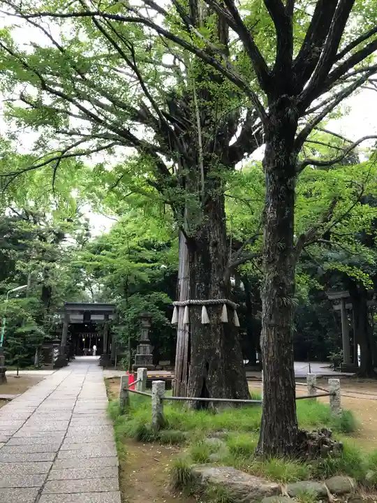 赤坂氷川神社のその他建物