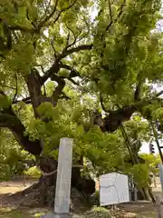 善通寺(香川県)