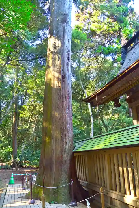 奥宮(鹿島神宮摂社)(茨城県)