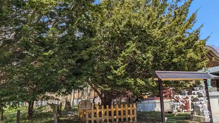 根室金刀比羅神社の自然