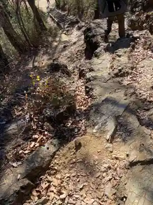 足利織姫神社(栃木県)
