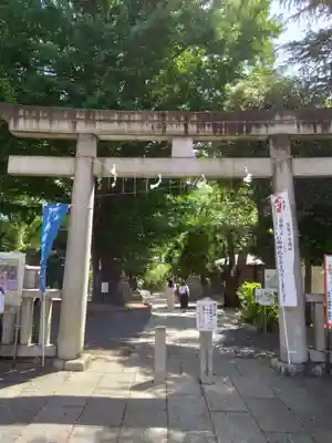 鳩森八幡神社の鳥居
